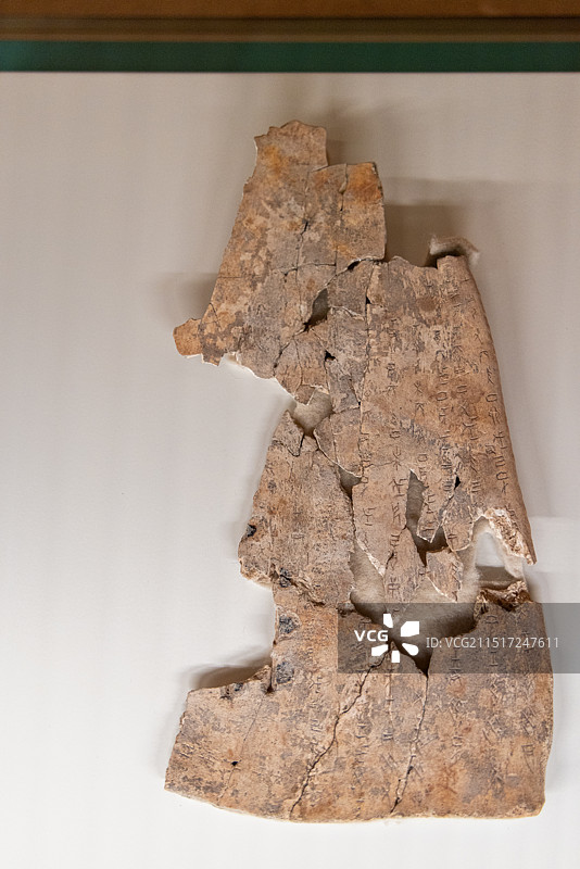 殷墟博物馆 商晚期 刻辞卜骨（干支表） 2004年安阳大司空出土图片素材