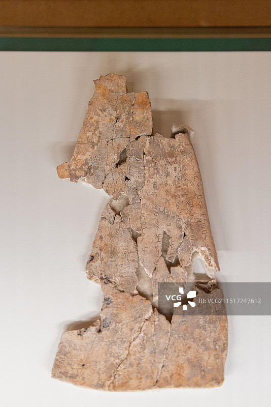 殷墟博物馆 商晚期 刻辞卜骨（干支表） 2004年安阳大司空出土图片素材