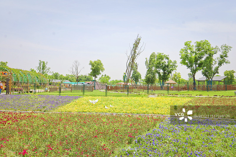 仙桃沔阳小镇图片素材