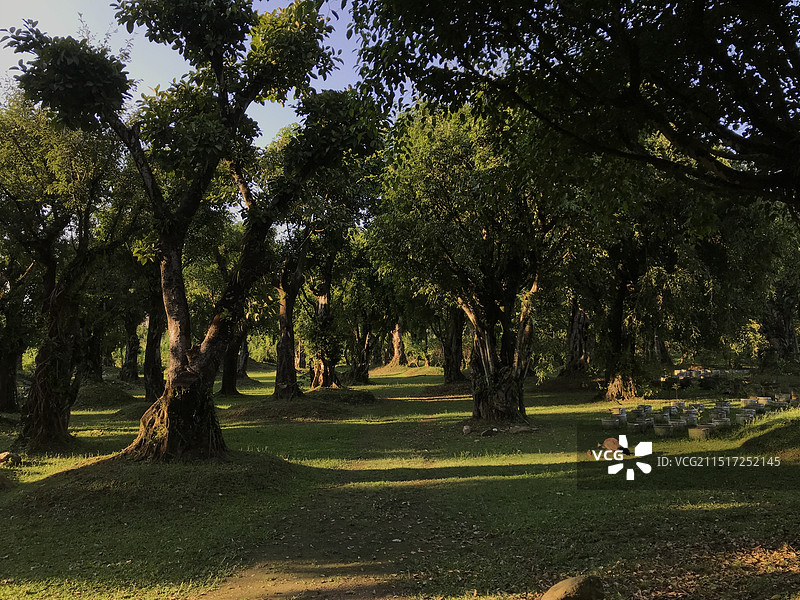 德宏芒市勐巴娜西珍奇园景区图片素材