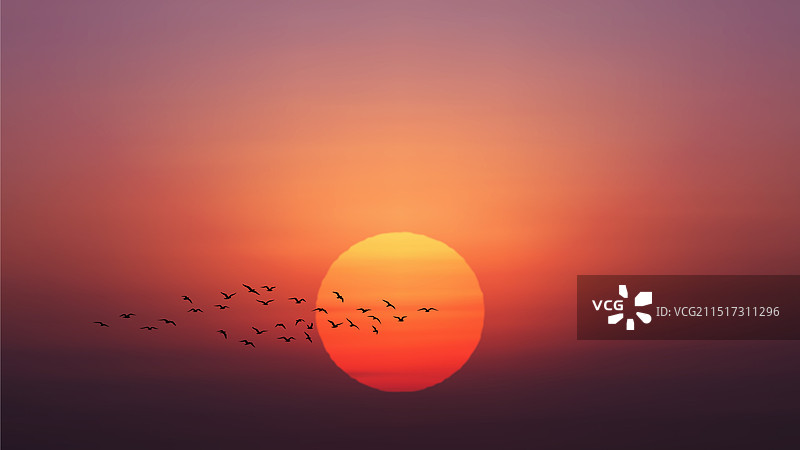 巨大的太阳和鸟类的美丽日出日落图片素材