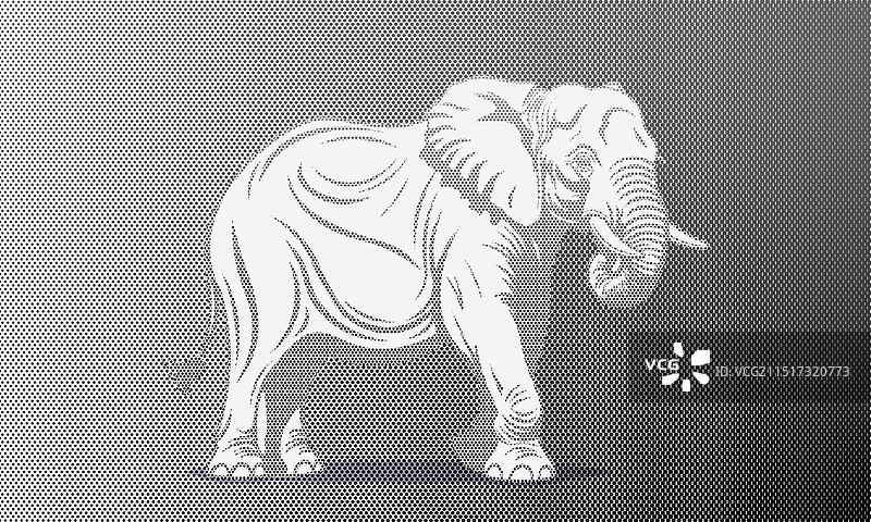 灰色单色纹理大象图形图片素材