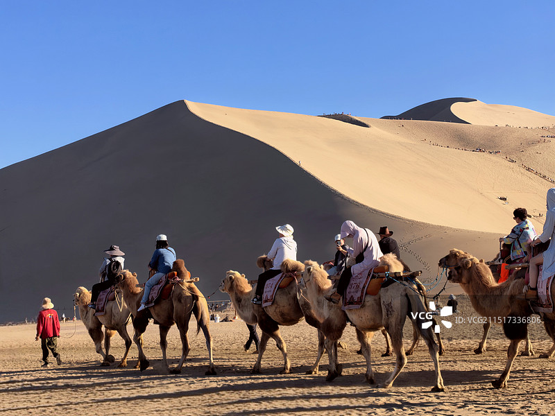 沙漠驼队图片素材