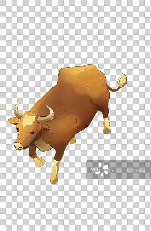 一头水牛插画元素俯视图片素材