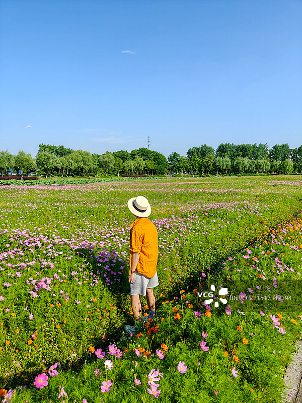 杭州 湘花岛 花海 花田 月见草 旅行者 戴草帽的男人 摄影师 拍摄 旅行 生活方式 拍照图片素材