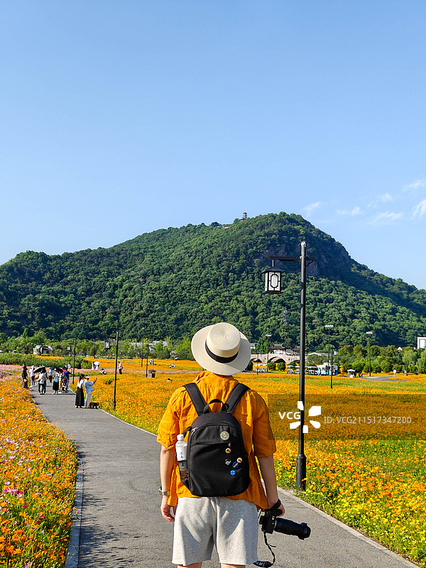杭州 湘花岛 花海 波斯菊 眉山路 石岩山 旅行者 戴草帽的男人 摄影师 拍摄 旅行 生活方式 拍照图片素材
