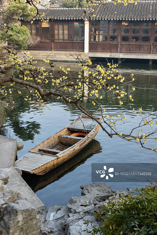 苏州艺圃腊梅图片素材