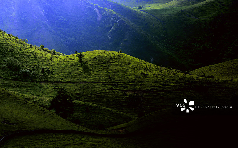 诺亚方舟图片素材