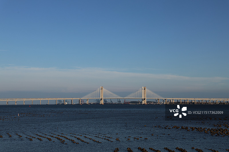 蓝天白云下的泉州湾跨海大桥图片素材
