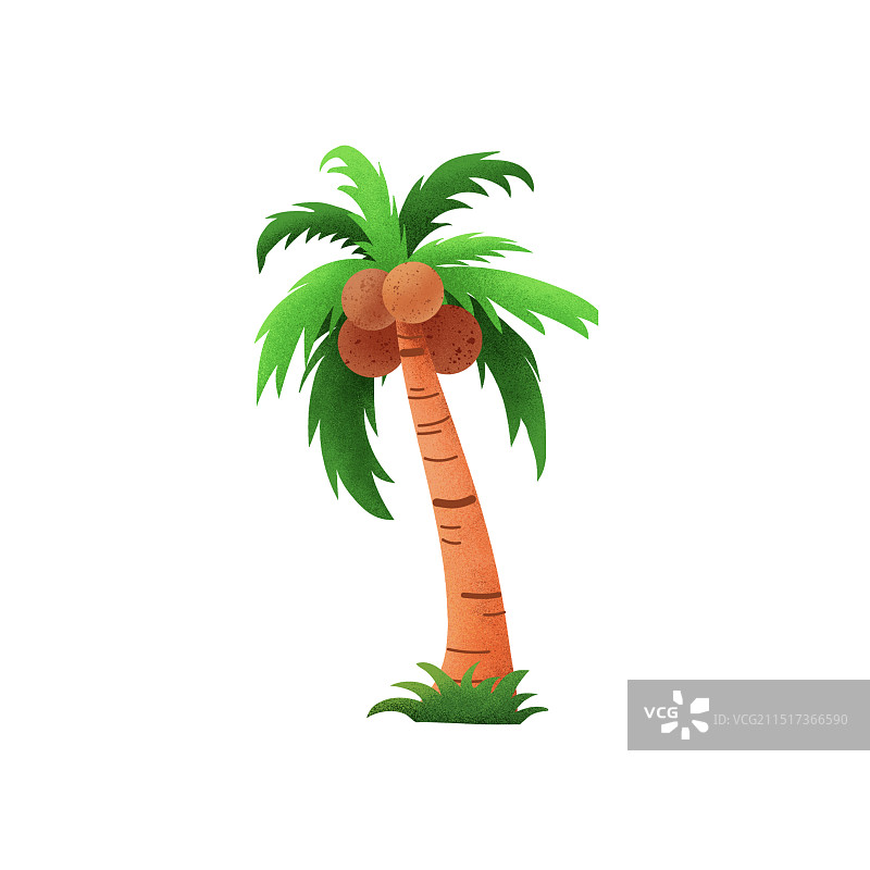 一棵椰子树图片素材