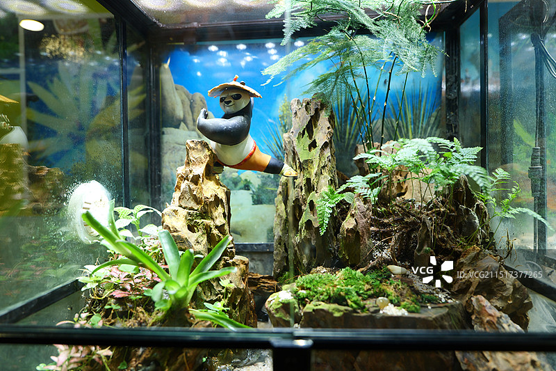 台州海洋世界图片素材