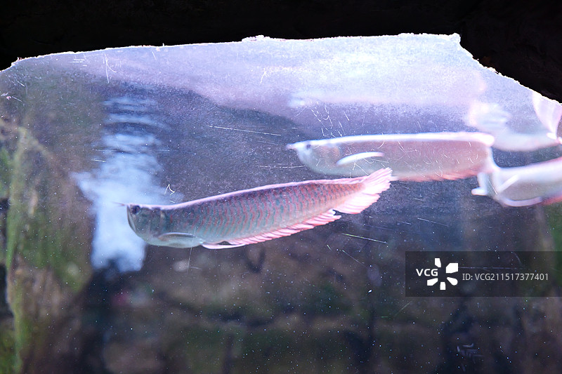 台州海洋世界图片素材