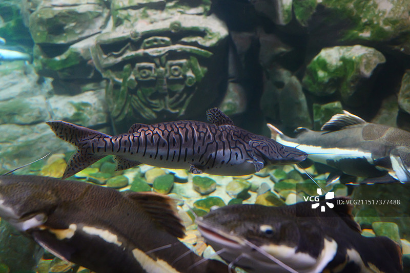 台州海洋世界图片素材