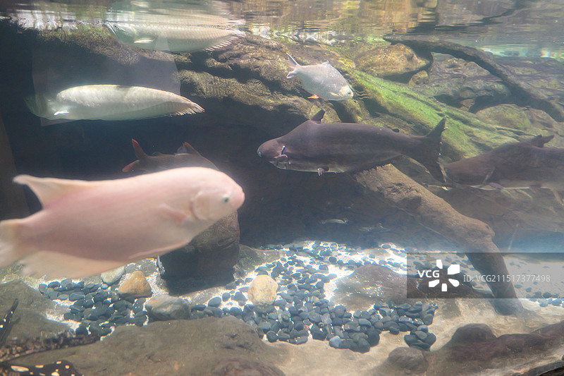 台州海洋世界图片素材