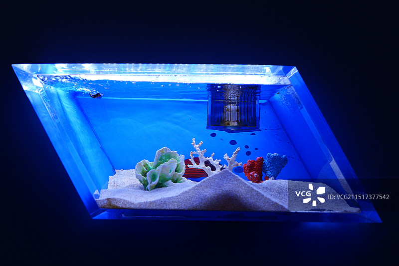 台州海洋世界图片素材