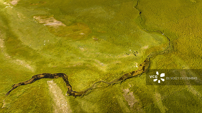 青海湖的秋天图片素材