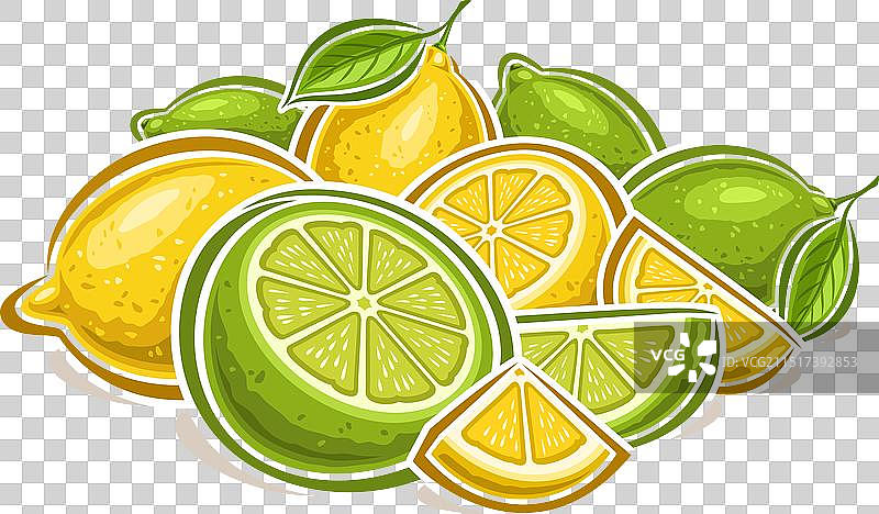 柠檬和酸橙标志图片素材