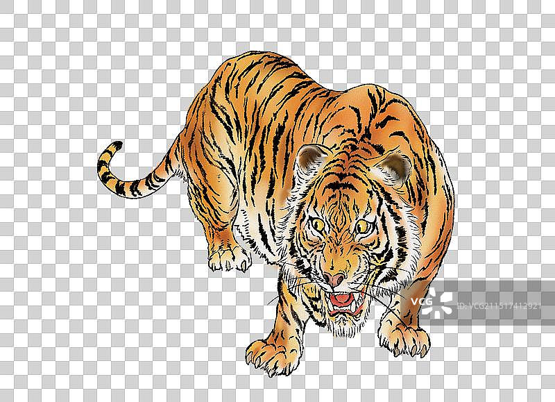 猛虎下山图片素材