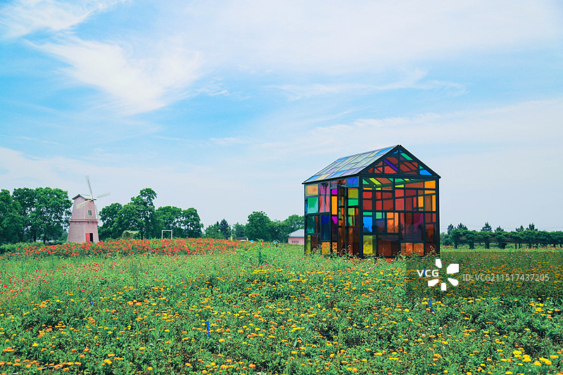 花海中的风车与玻璃房子图片素材
