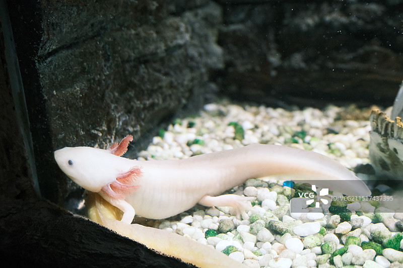 台州海洋世界图片素材