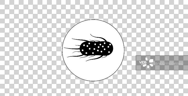 鼠伤寒沙门氏菌细胞图片素材