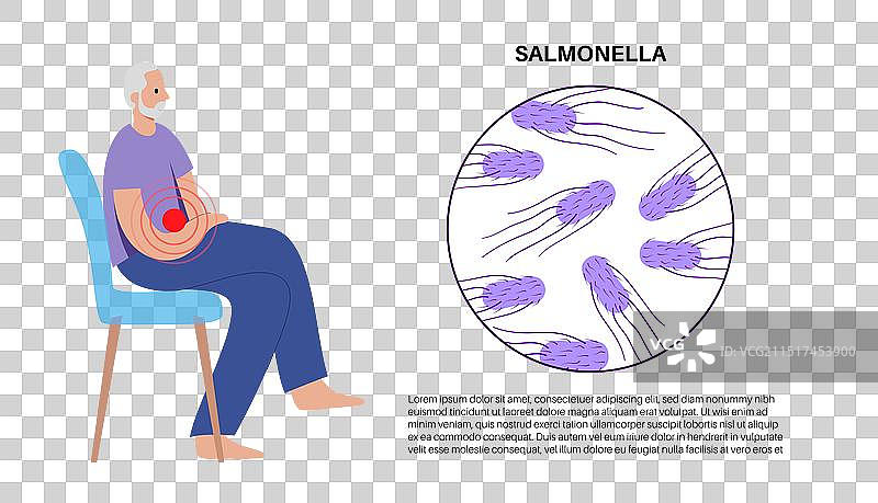 鼠伤寒沙门氏菌细胞图片素材