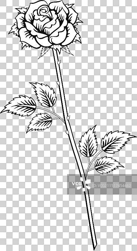 带茎轮廓的经典玫瑰纹身图片素材