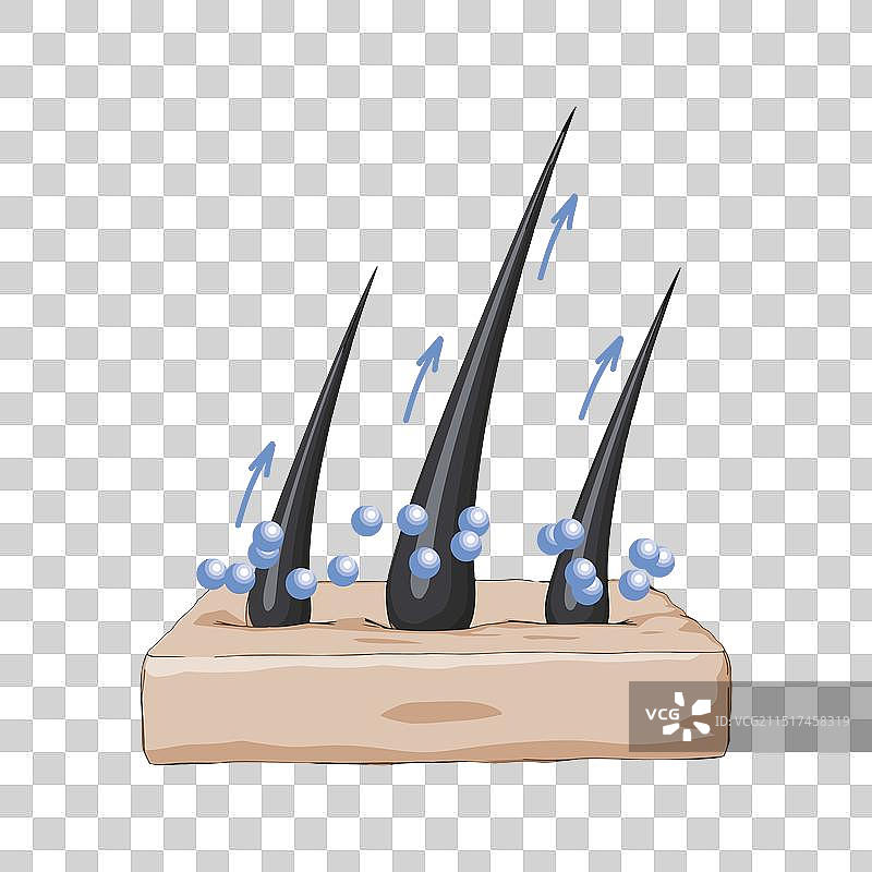 有益于健康头发生长的矿物质图片素材