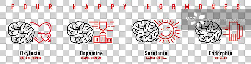 四种快乐激素：多巴胺和内啡肽图片素材
