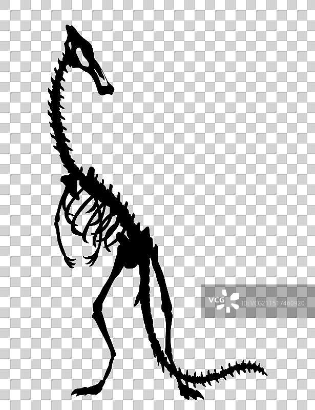 恐龙骨骼恐龙怪物图标形状图片素材