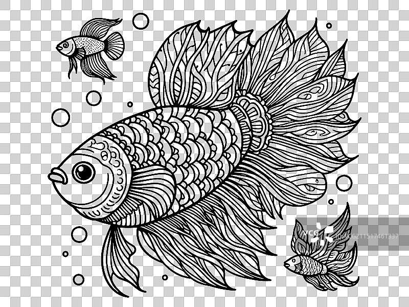 具有大鳍的抗压涂色鱼图片素材