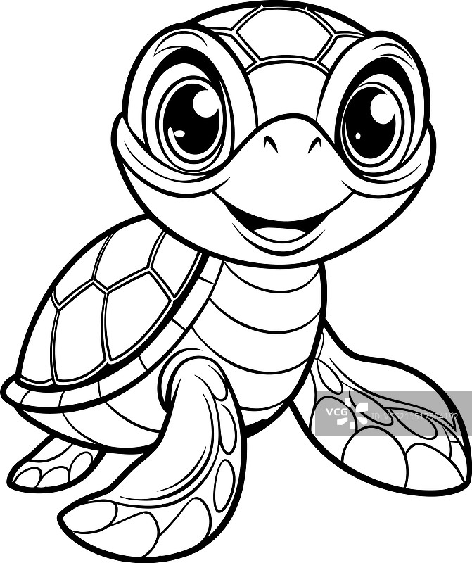 小海龟宝宝填色页图片素材