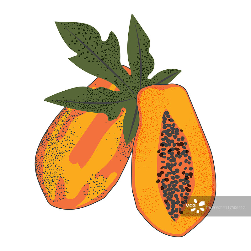 白色背景上的木瓜热带水果图片素材