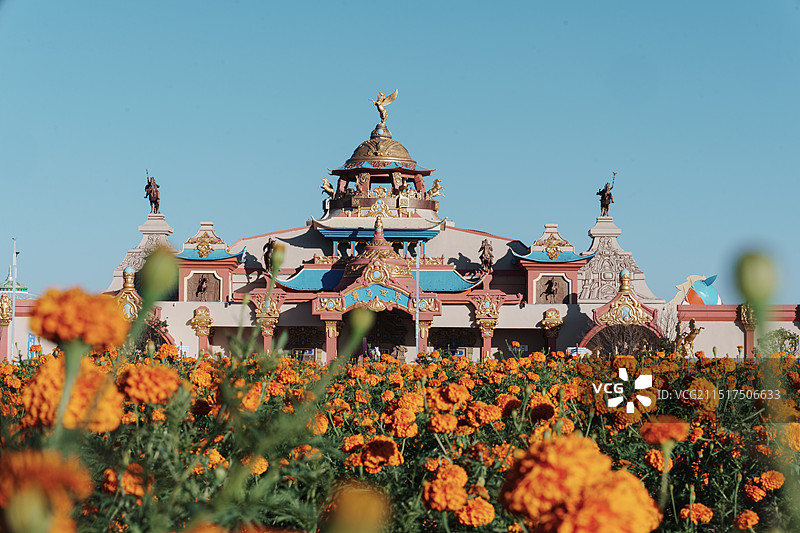 河北承德丰宁坝上草原，中国马镇，舞马世界图片素材
