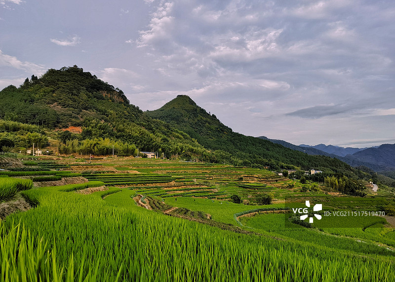 云上梯田图片素材