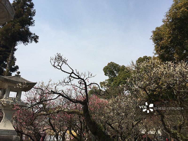 日本太宰府天满宫传统建筑景色图片素材