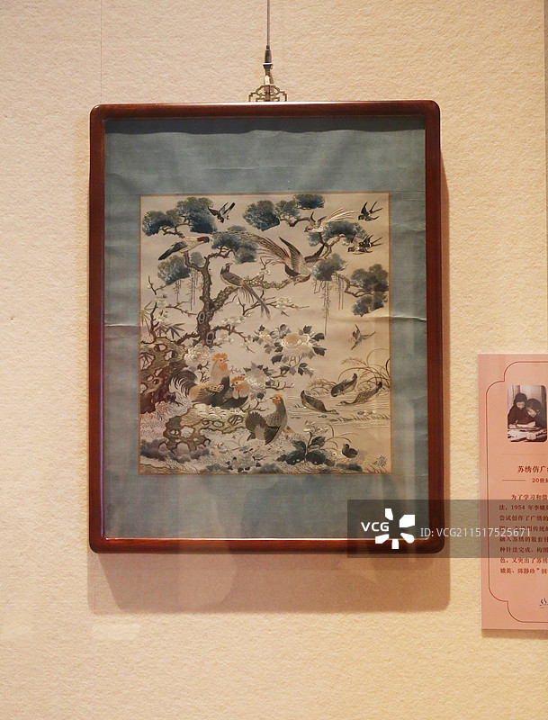 20世纪 50年代 苏绣仿广绣百鸟朝凤 中国沈阳辽宁省博物馆图片素材