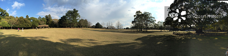 日本奈良公园全景图片素材