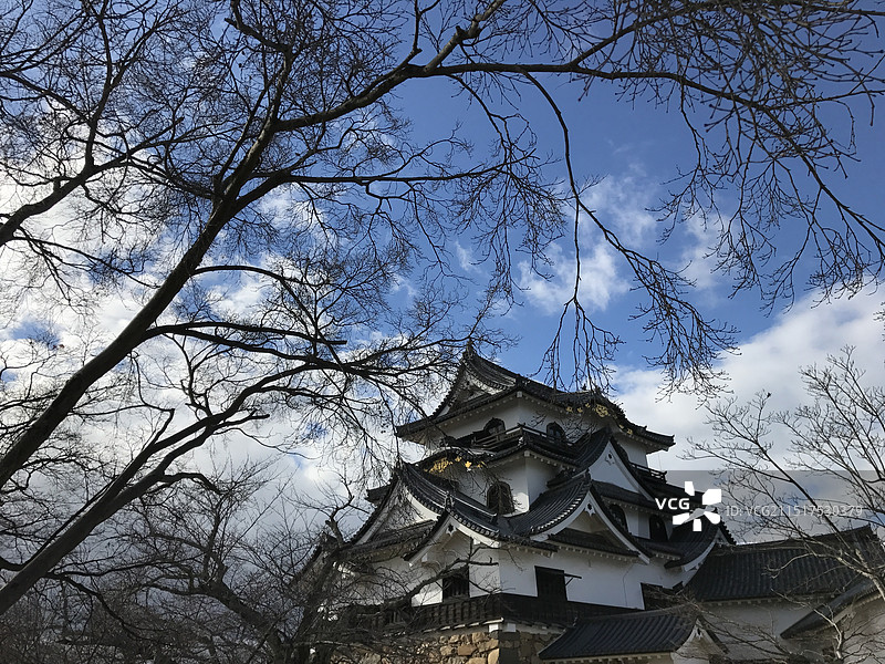 日本滋贺县湖边的树顶着天空湖光景色图片素材