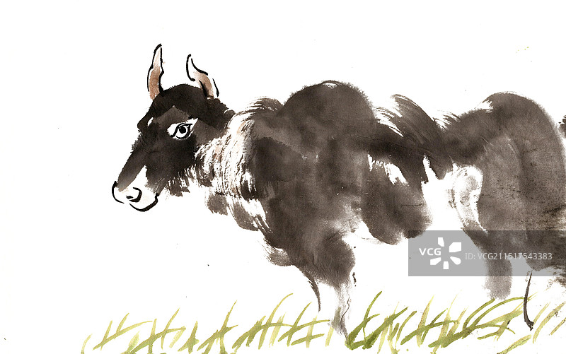 草地上的牛图片素材