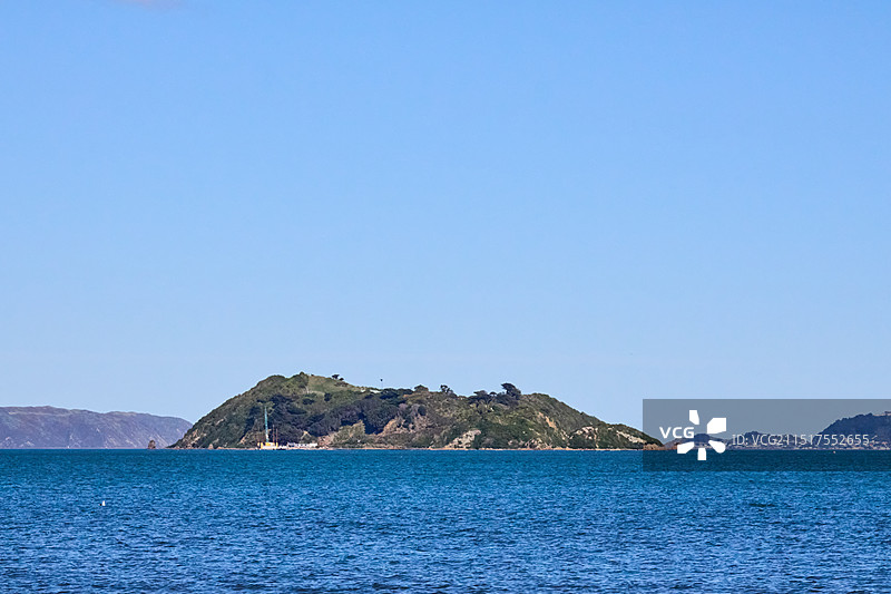 新西兰春季海景萨姆斯岛Somes Island图片素材