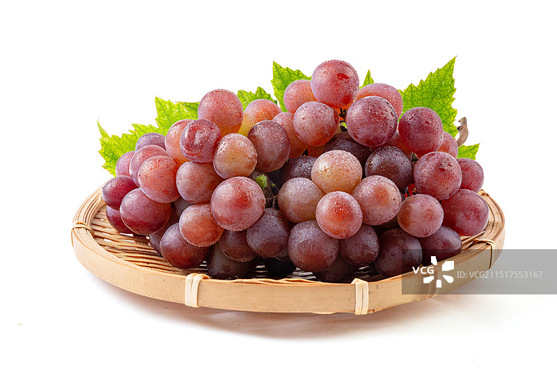 天津市汉沽区茶淀镇特产玫瑰香葡萄图片素材