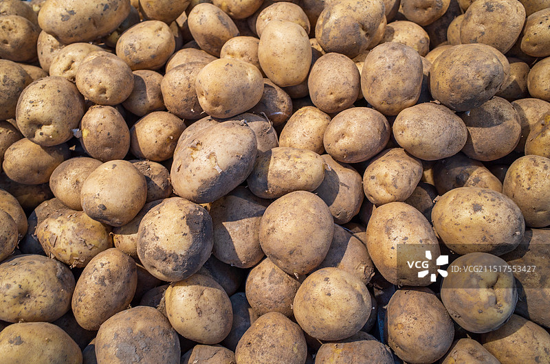商场柜台上摆放的一堆土豆图片素材