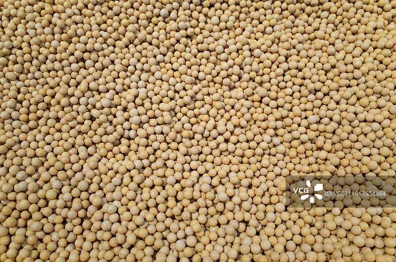 满屏幕黄豆特写图片素材