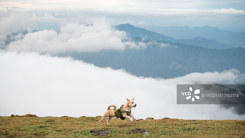 五台山望海峰云海图片素材