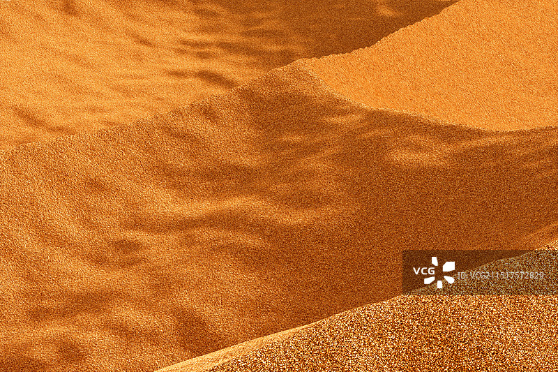 3D渲染的沙地沙漠图片图片素材