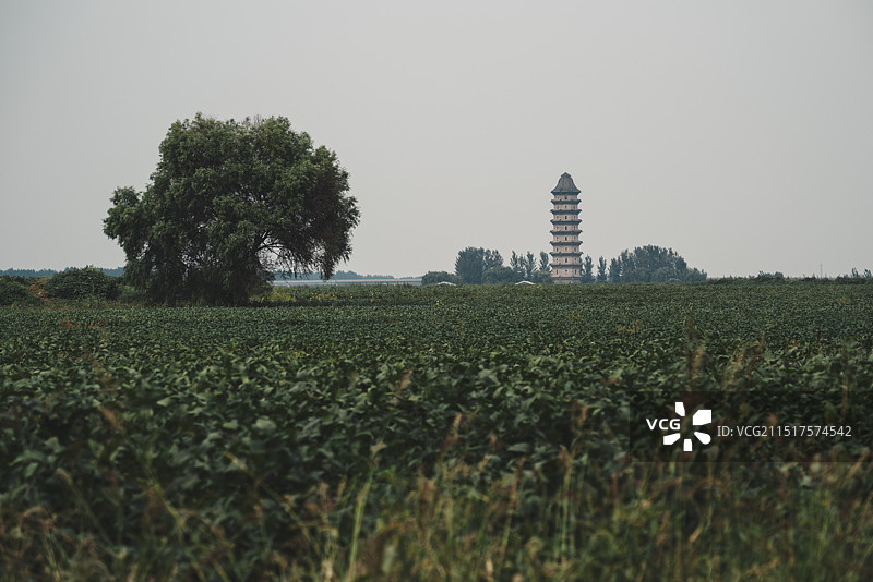 山东聊城临清舍利塔图片素材