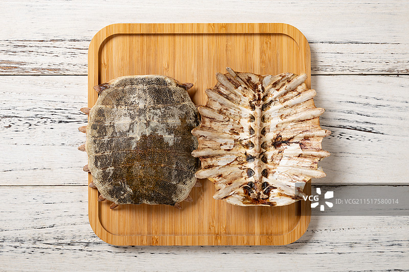 中药大鳖甲顶视图水平画幅图片素材