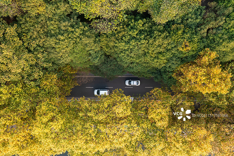 贵州遵义市凤凰路秋天景色航拍图片素材