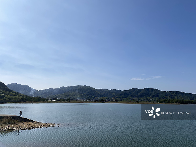 四明山秋季景色银杏图片素材